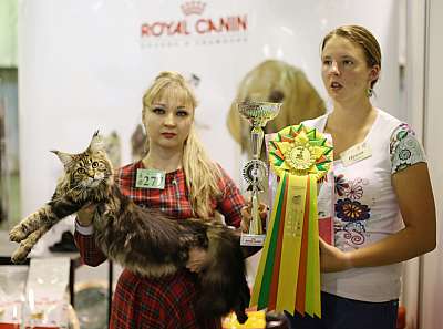 �������� ����� '���-�����-��������' 20-21 �������� 12-277-169A2452 copy.jpg